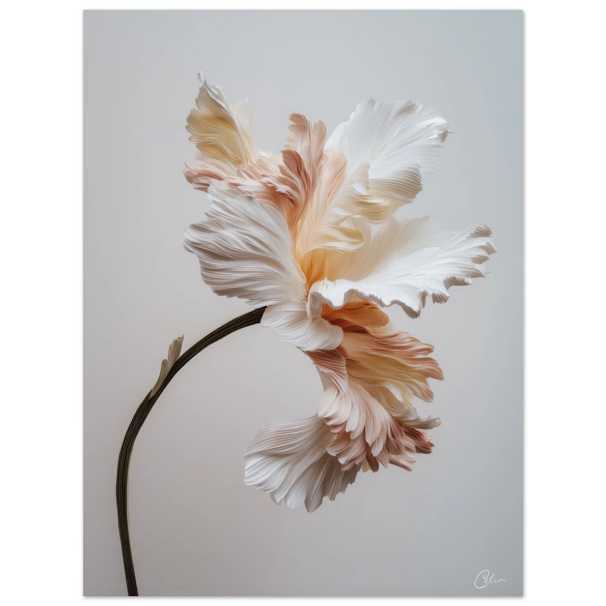 81d74a9a-3859-4a64-8108-aa4e8d413142