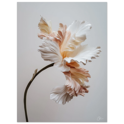 81d74a9a-3859-4a64-8108-aa4e8d413142