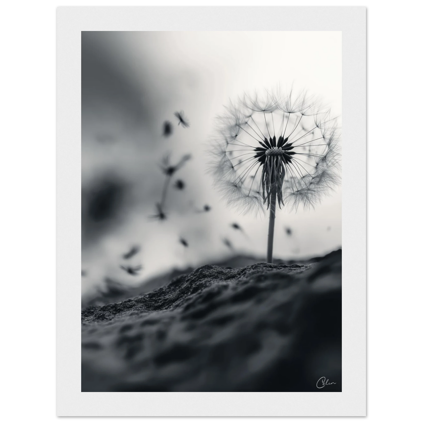 81f5d3bc-333f-4c67-aba0-210dc5b62a82