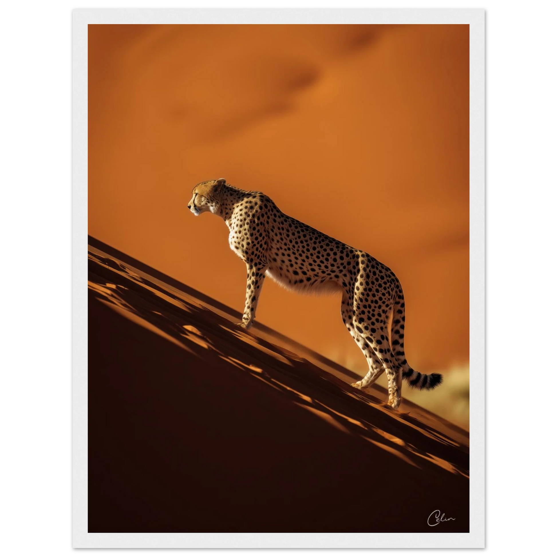 83d682fa-dbb8-44b0-b2b7-e99eaaab449e