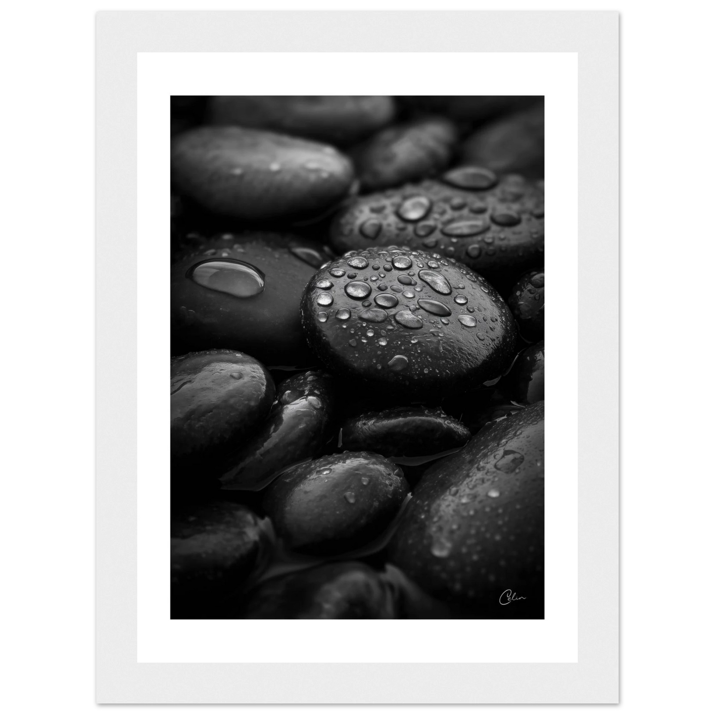 84017cce-298b-4fae-9ec0-7c12b86d4f90