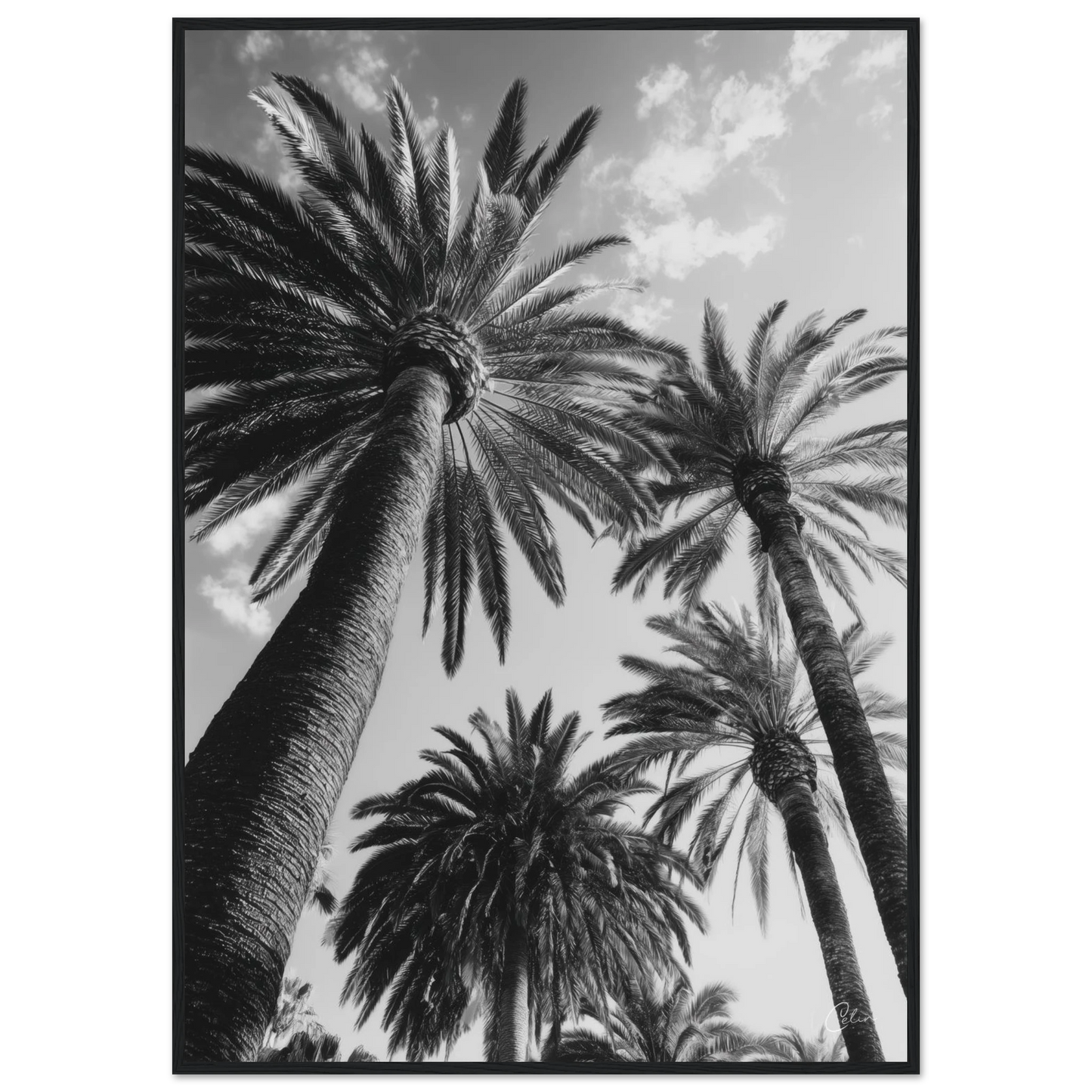 843f14c5-bd0e-49d4-b544-757825f58e82