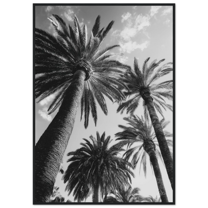 843f14c5-bd0e-49d4-b544-757825f58e82