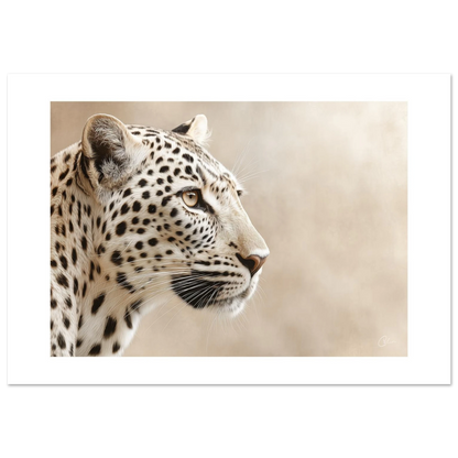 85b736dc-cde7-46f0-a87f-1d513c6252cd