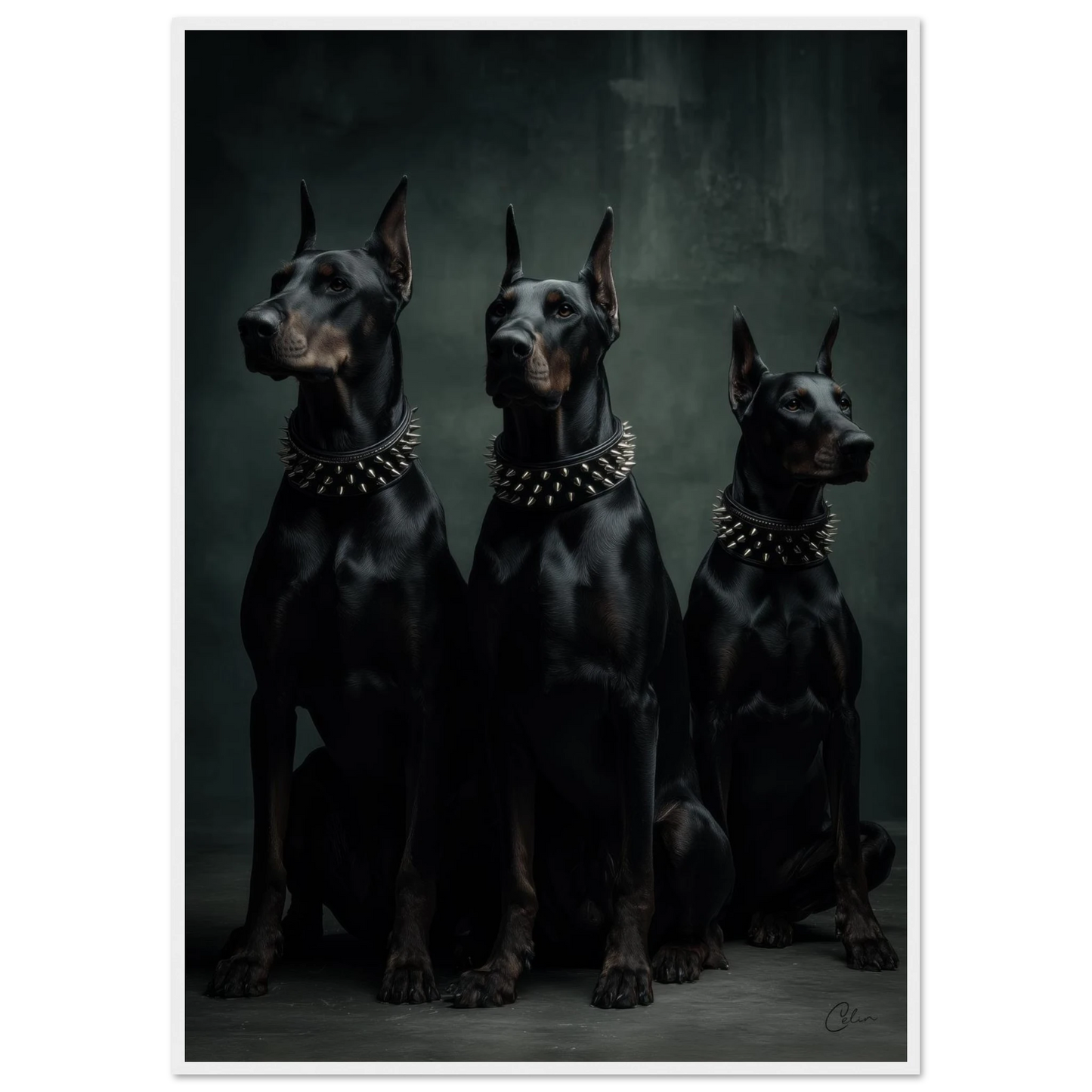 86958cf8-9d5b-4a26-87e8-5e2952657478