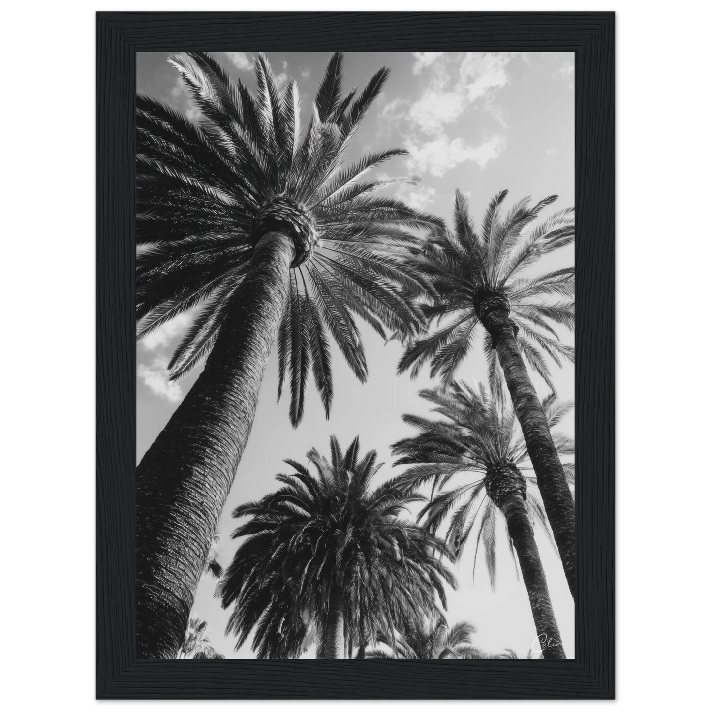 86db0b54-d21b-4132-b7da-20788284cd93