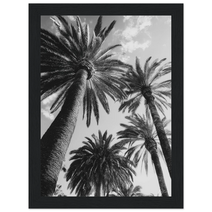 86db0b54-d21b-4132-b7da-20788284cd93