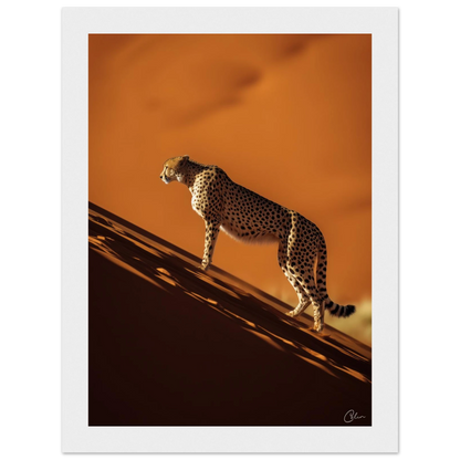 884afd17-15df-4d05-9e89-606bdf2edb7f