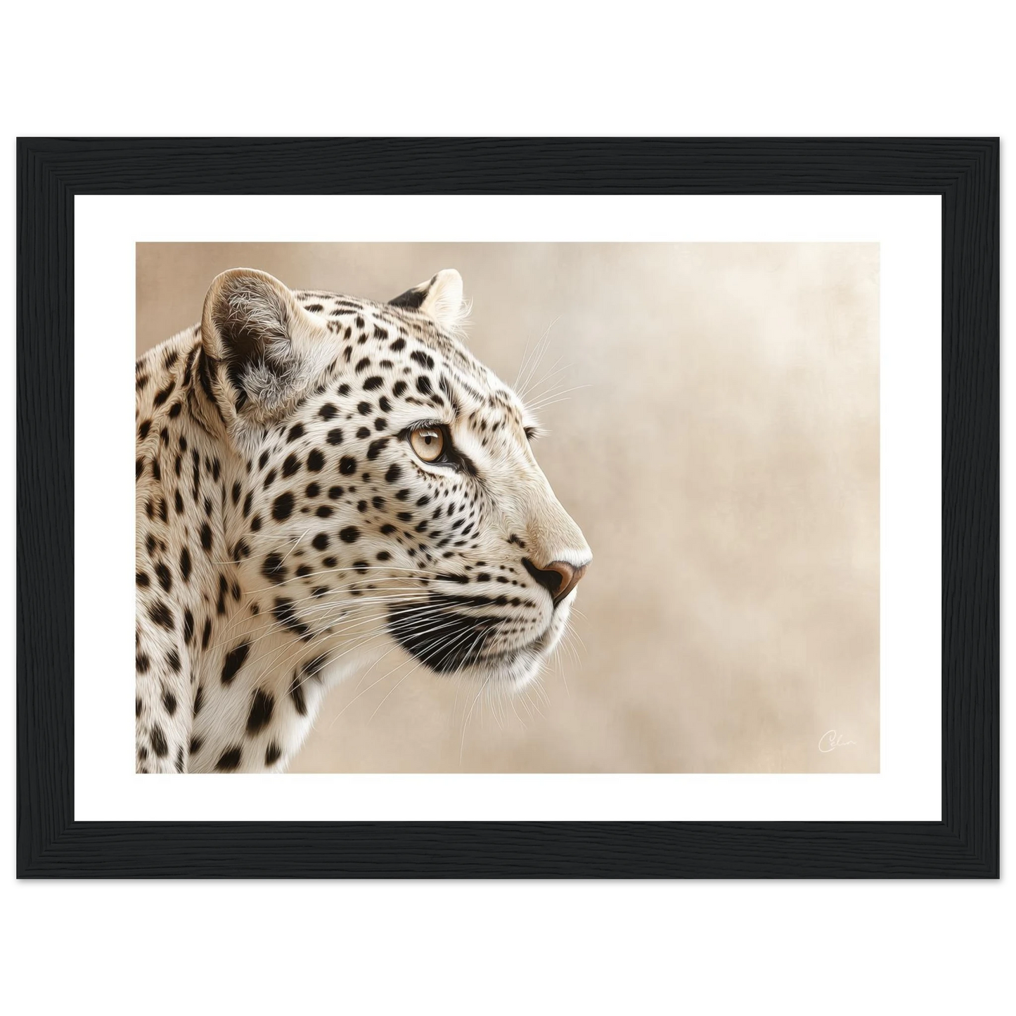 89b459a8-4940-4509-88e5-84389dd9fdb1