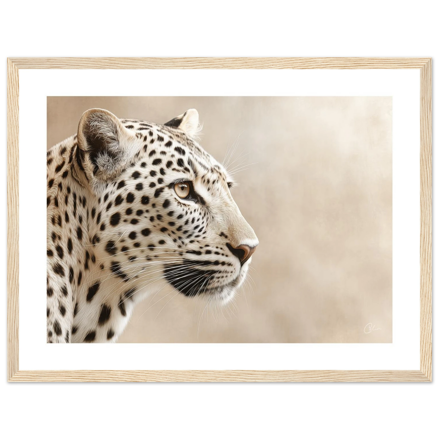 8ae2e7b1-1ac1-4883-8890-47bca1547a98