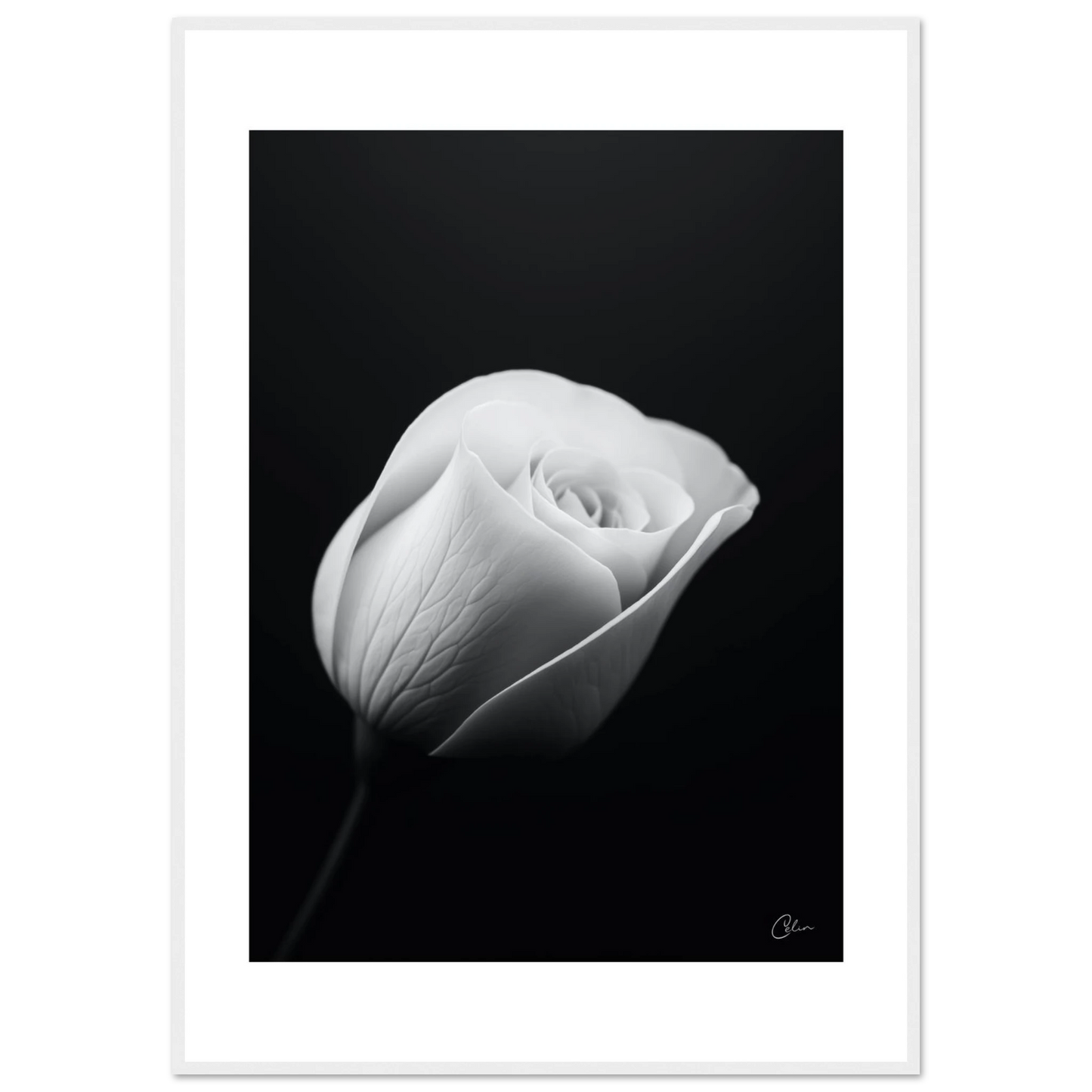 8c49bfa3-3360-4df5-9c5b-734ce149abed