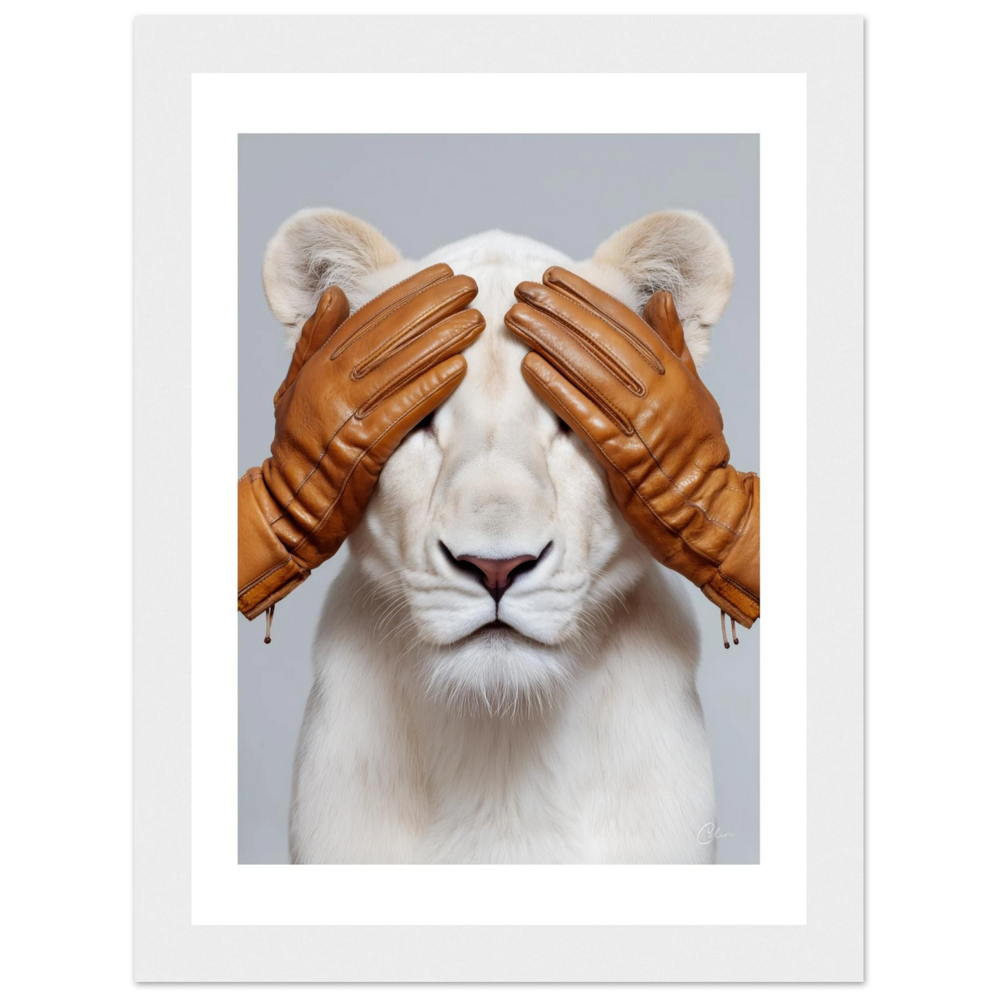 8ca21087-17c0-4f8c-a60b-b3b30fc290e4