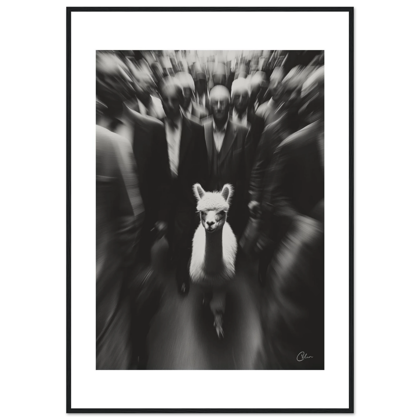 8d2b29f4-abb3-4a4a-b857-47f34de3b435