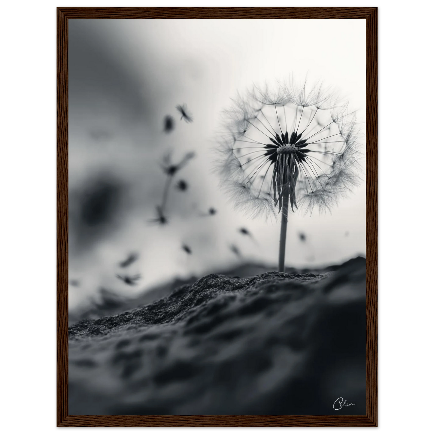 8ed26fda-cfa2-40fc-9842-fd406a990678