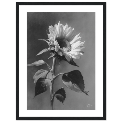 8f194064-9895-42fe-9749-c102fd48c0fd