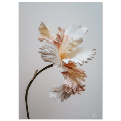 8ff6ea68-8b2c-41c5-be2b-4c07cb4b4acd