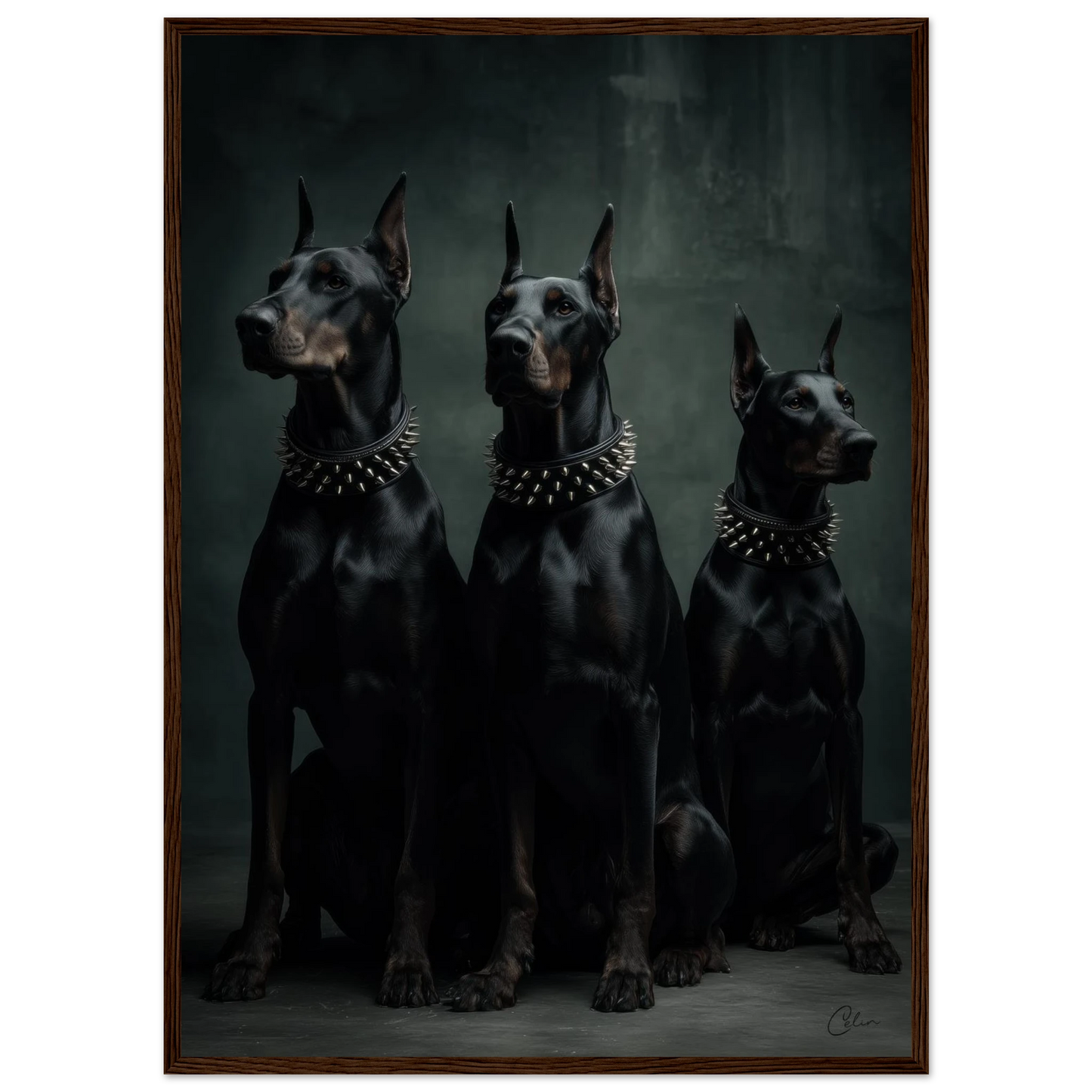 9015b109-1d86-426d-980a-937f8ff8053b