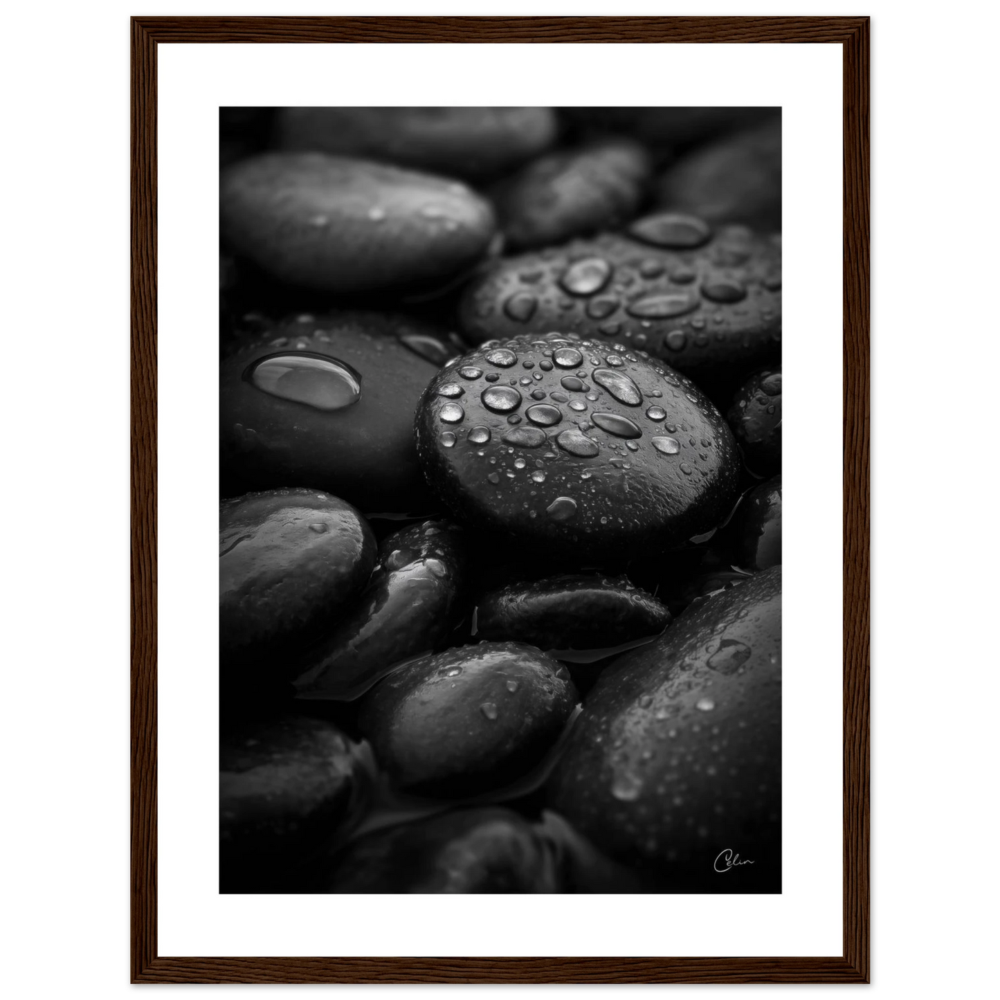 9038308a-d02f-4fc5-a606-a51f3bc775c0