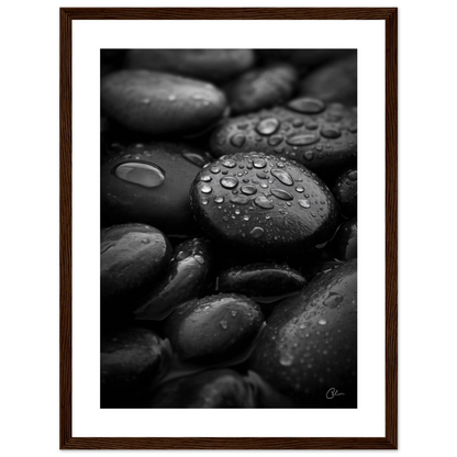 9038308a-d02f-4fc5-a606-a51f3bc775c0