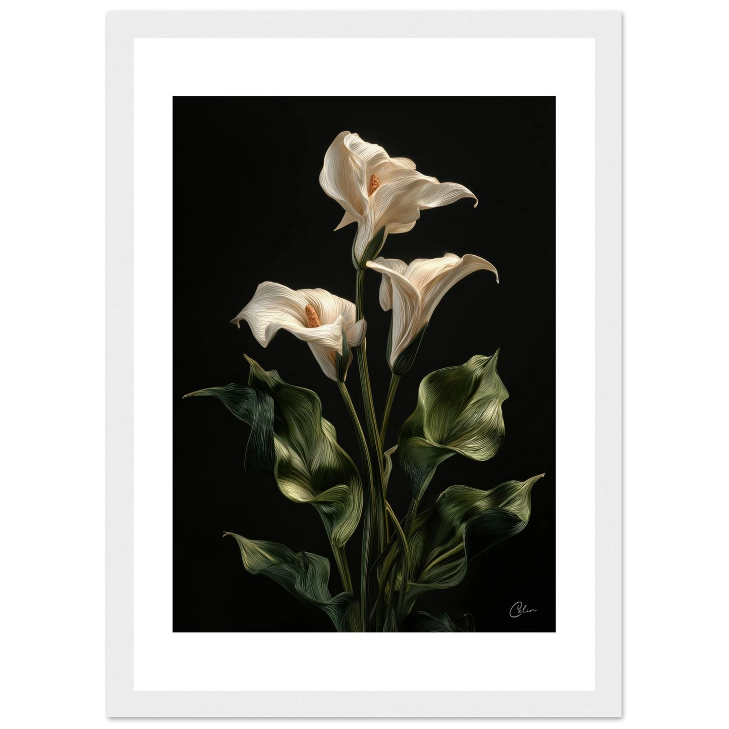 908c15a2-3c65-4b32-b497-4ba1d5b1541a