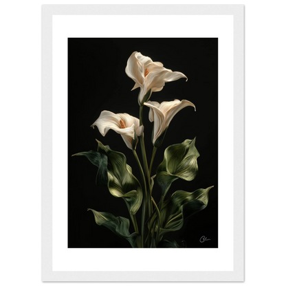 908c15a2-3c65-4b32-b497-4ba1d5b1541a