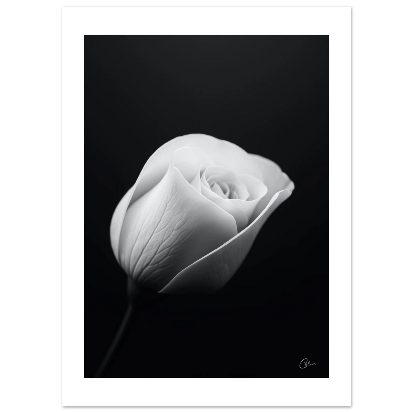 9361dfa3-c7bc-47fc-a121-19ec398a24d7