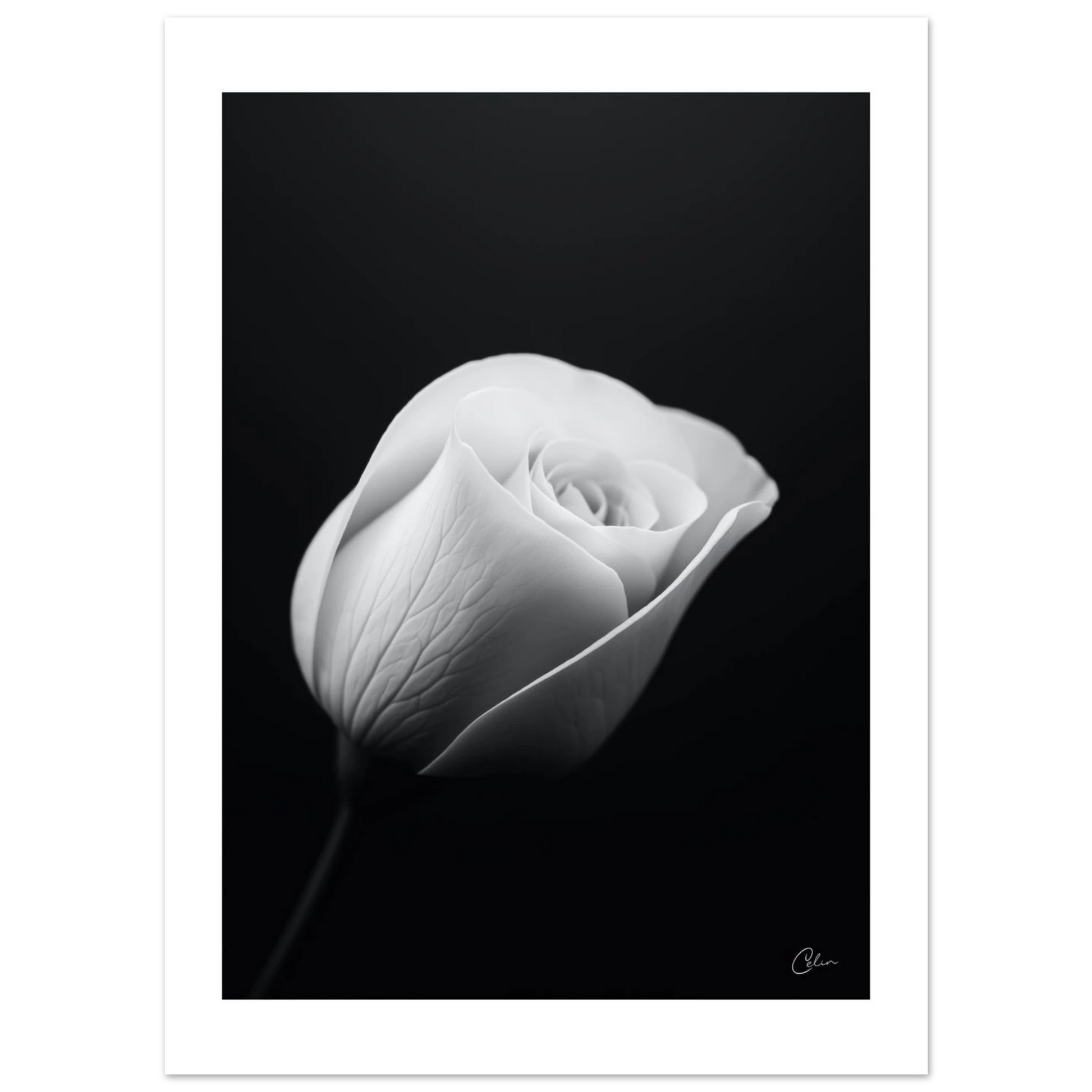 9361dfa3-c7bc-47fc-a121-19ec398a24d7