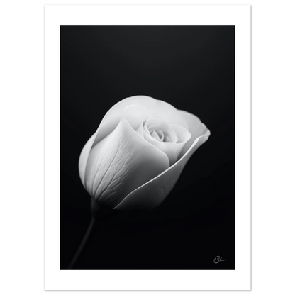 9361dfa3-c7bc-47fc-a121-19ec398a24d7