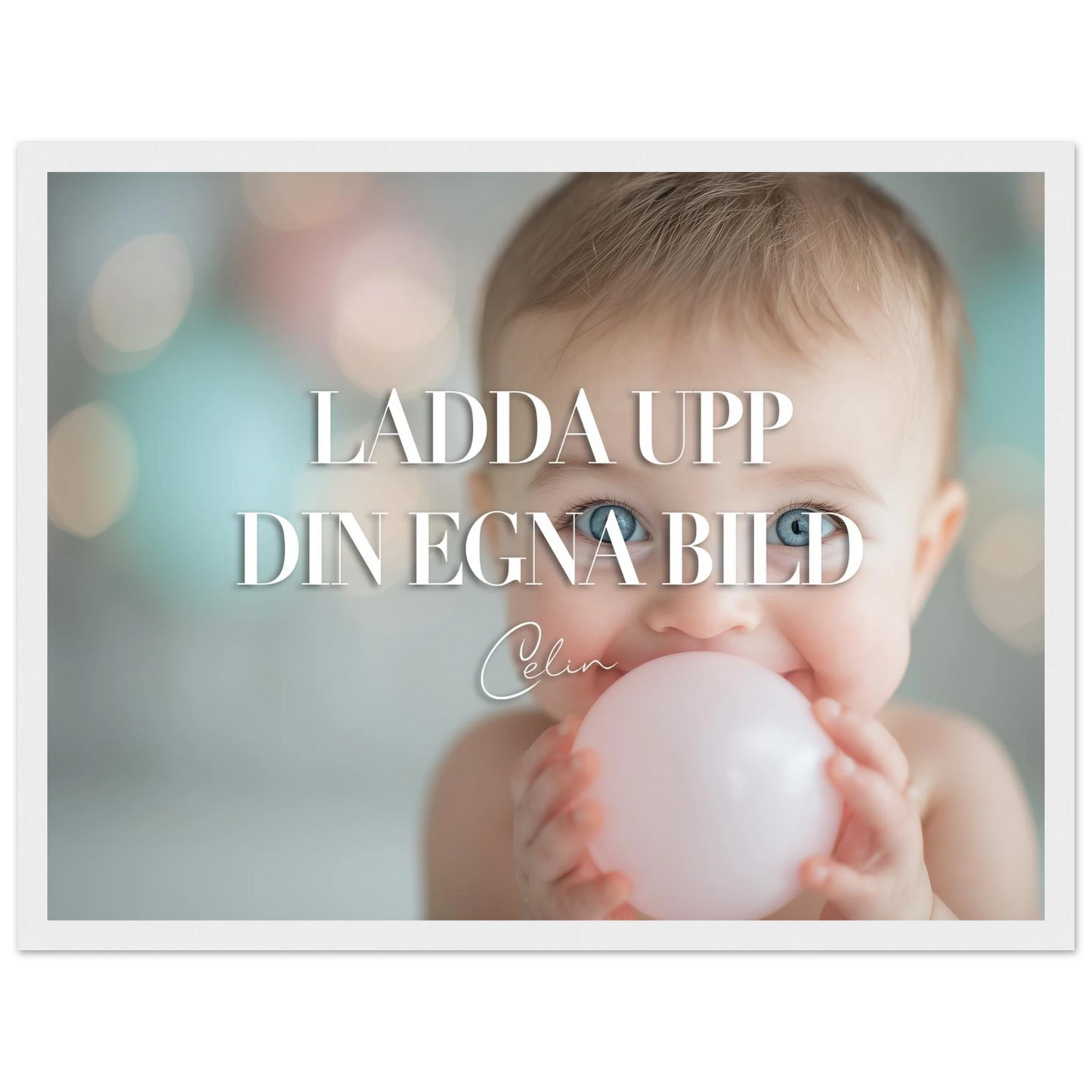 95d57f6e-a83b-45b7-acfa-d7baef7df9c6