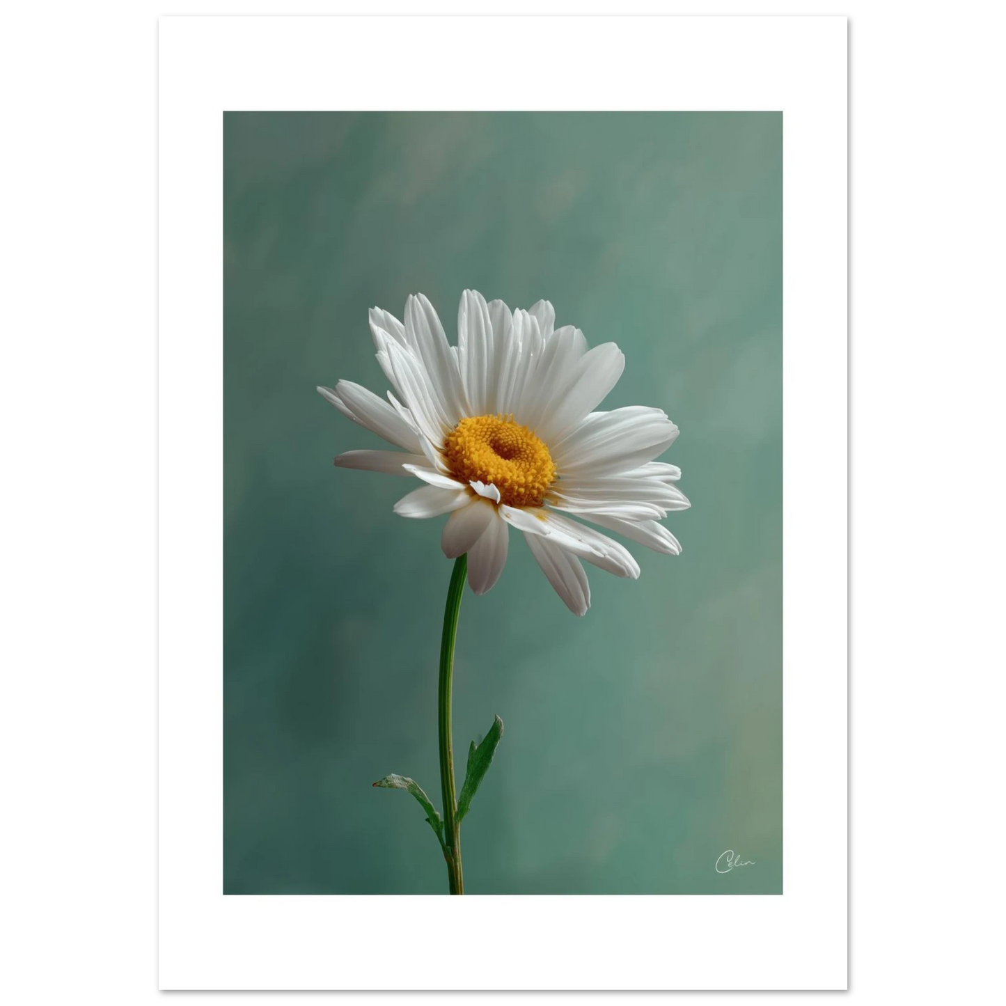 969b8077-3f18-4df0-9378-ac596f067763