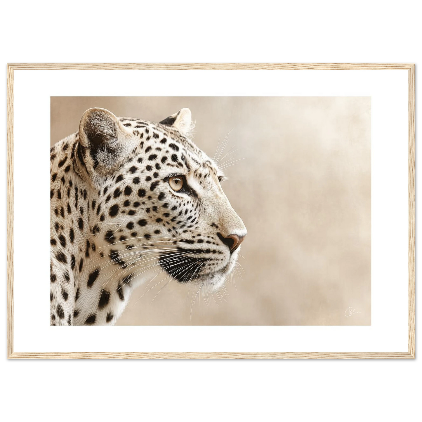 987fffee-a0e6-44f4-a46d-e509171e003b