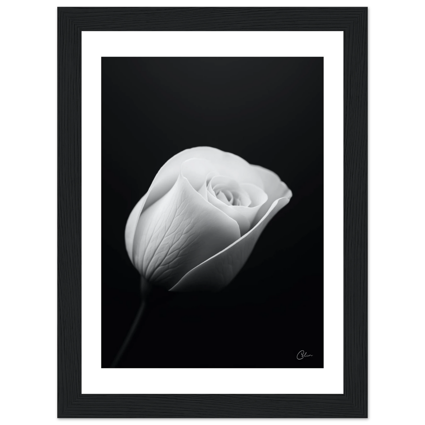 9908030d-04d3-47ce-8ef8-dda7d52ff20e