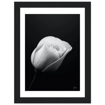 9908030d-04d3-47ce-8ef8-dda7d52ff20e