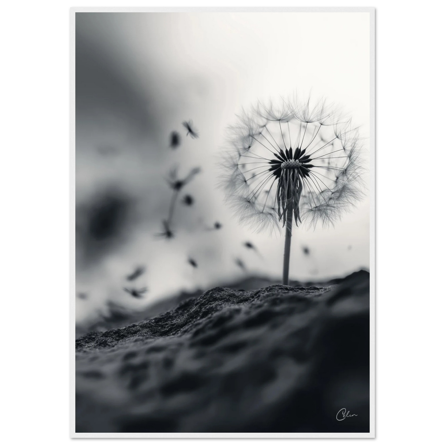 9923e132-0a11-4783-9d39-a29d02f9f686