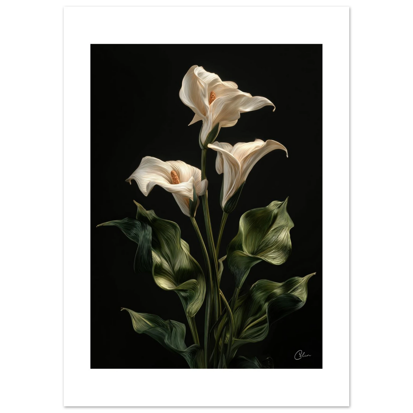 9a246b1f-0e17-4336-8660-a5ed5fa32e28