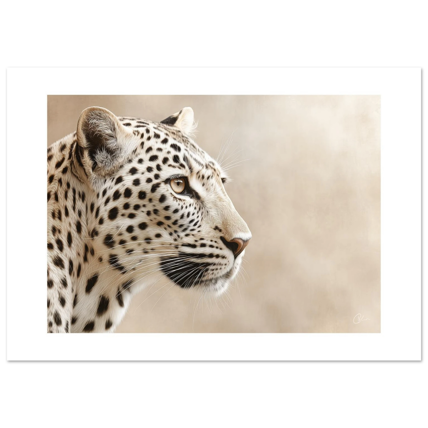 9a62fbd0-76d6-4163-a871-70ca05276b8a