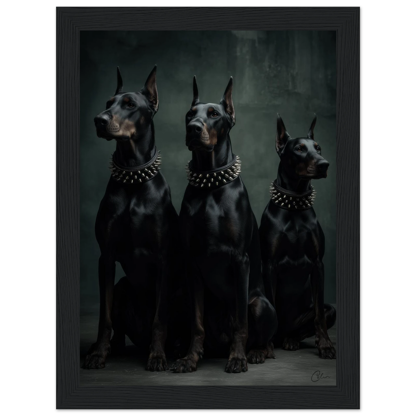 9b4da18d-9ba9-4607-956e-534268dad9ab