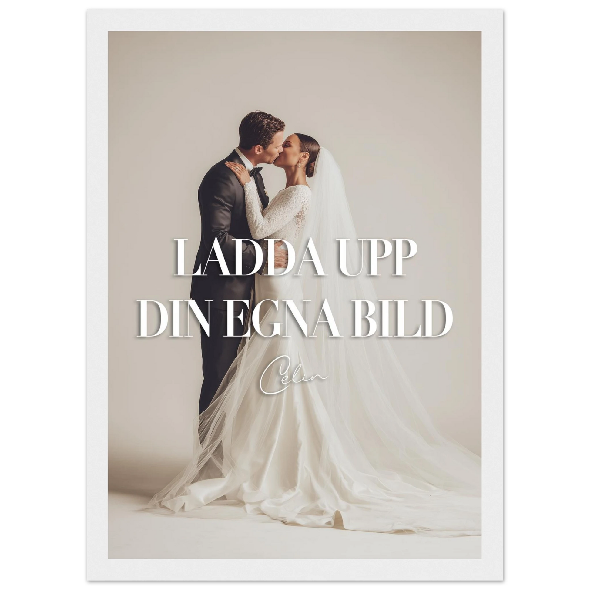 9bc968d2-2c2f-4f79-bde7-e57d78f4fc75