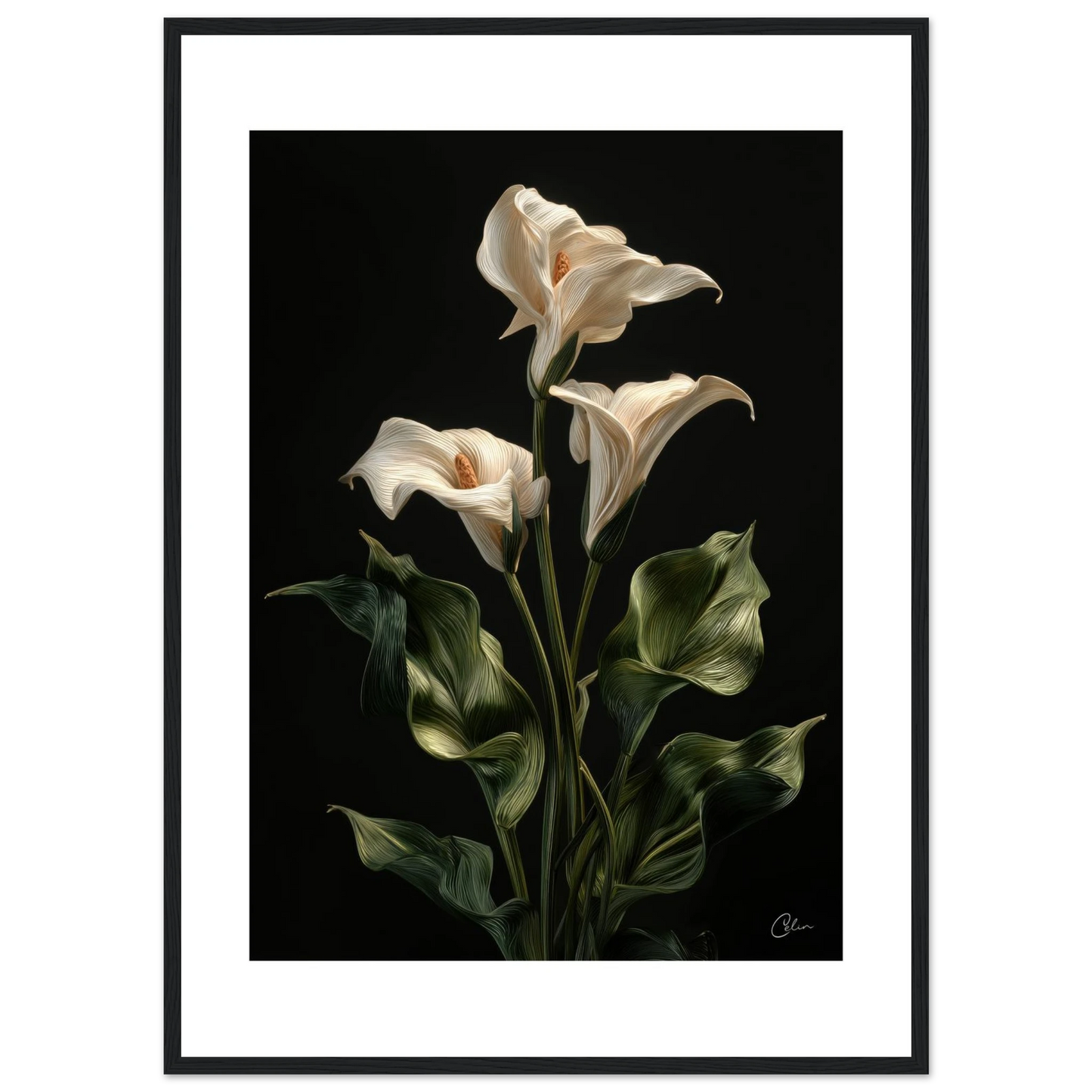 9c5440d2-07c6-4449-a169-5de36c383fbb