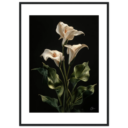 9c5440d2-07c6-4449-a169-5de36c383fbb