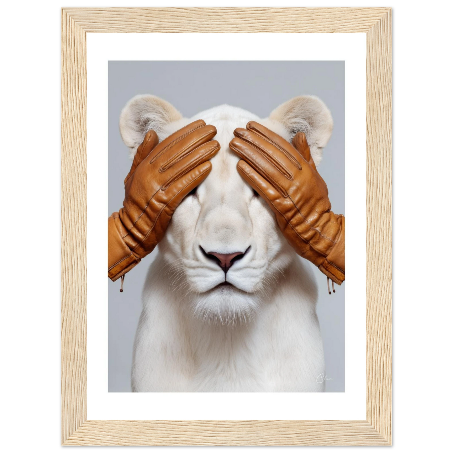 9ec51726-13a7-4b96-af44-12db31a68767