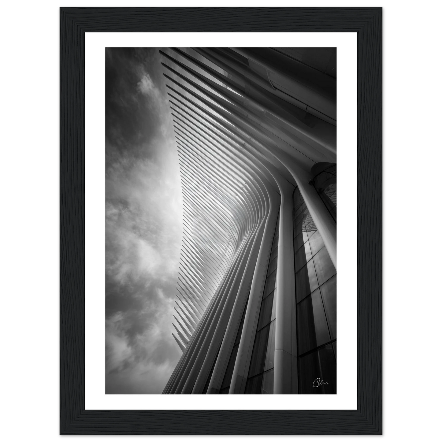 9fd1ba2c-d1f9-4614-9610-3066f5dcc8c5