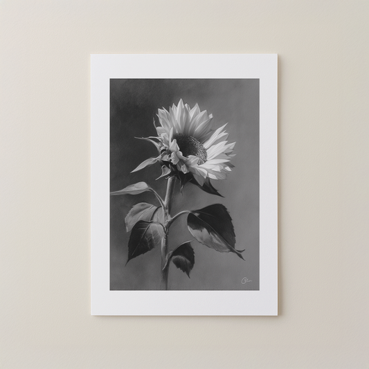 Charcoal Sunflower