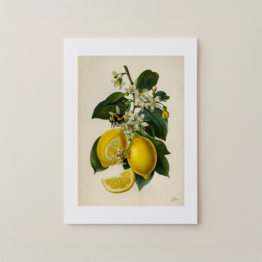 Citrus Study