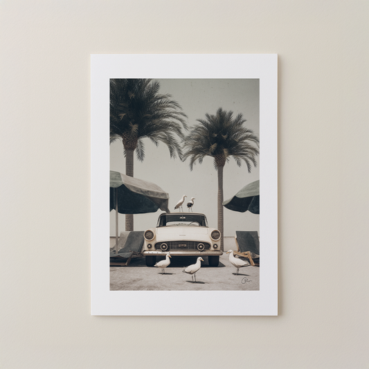 Coastal Idle