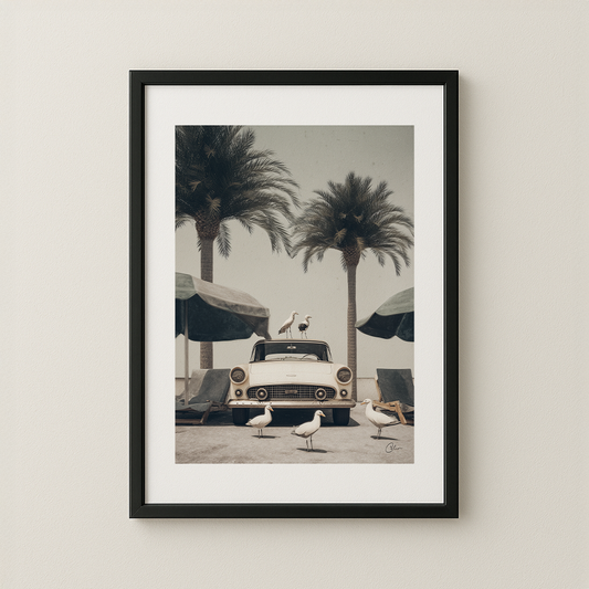 Coastal Idle