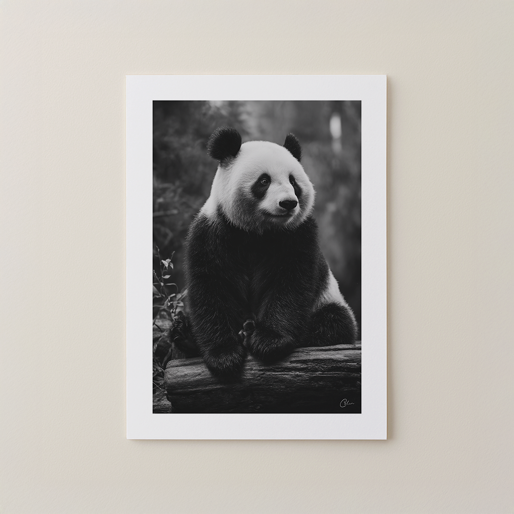 Quiet Panda