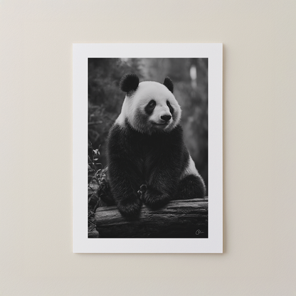 Quiet Panda
