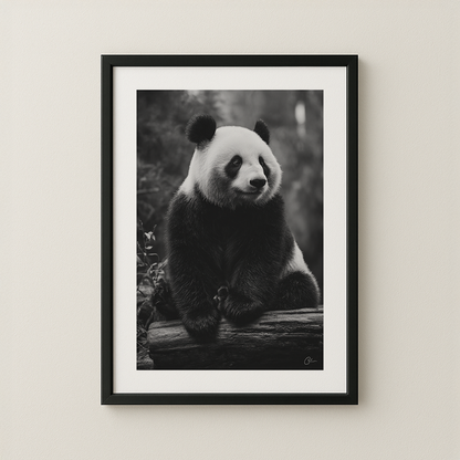 Quiet Panda