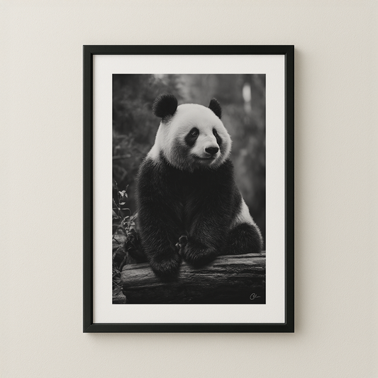 Quiet Panda
